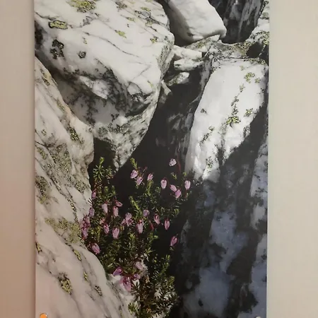 Appartement Norway - Norddalstunet *