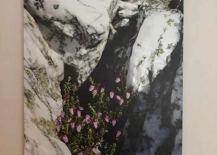 شقة Norway - Norddalstunet *